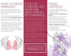 brochure2